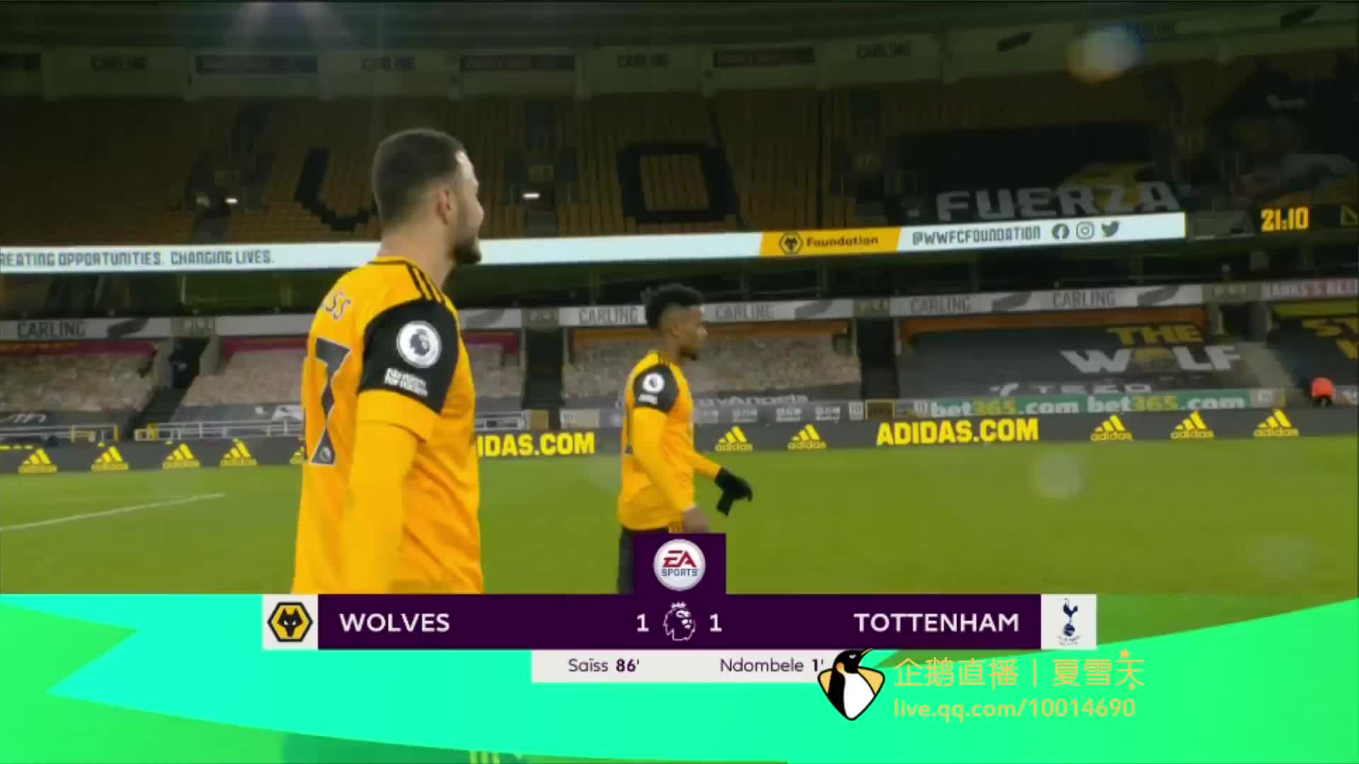 了坚实的后 了坚实的后