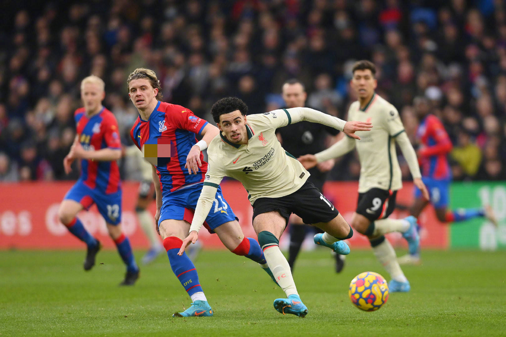 蒂亚成长为 蒂亚成长为